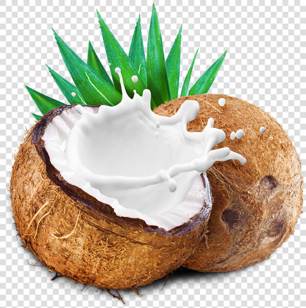 Transparent Milk Splash Png   Coconut Milk Splash Png  Png DownloadTransparent PNG