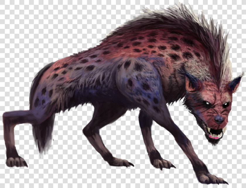 Clip Art Hyena Pathfinder   Dnd 5e Giant Hyena  HD Png DownloadTransparent PNG