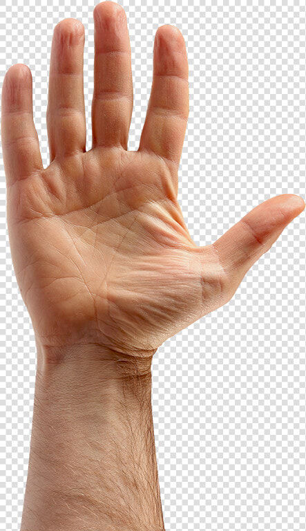 Hurt Hand Png   Hurt Hand Transparent  Png DownloadTransparent PNG