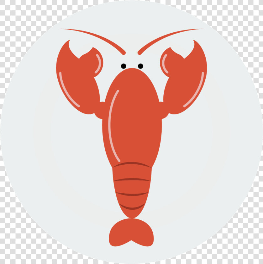 Lobster Seafood Shrimp Euclidean Vector   Lobster  HD Png DownloadTransparent PNG