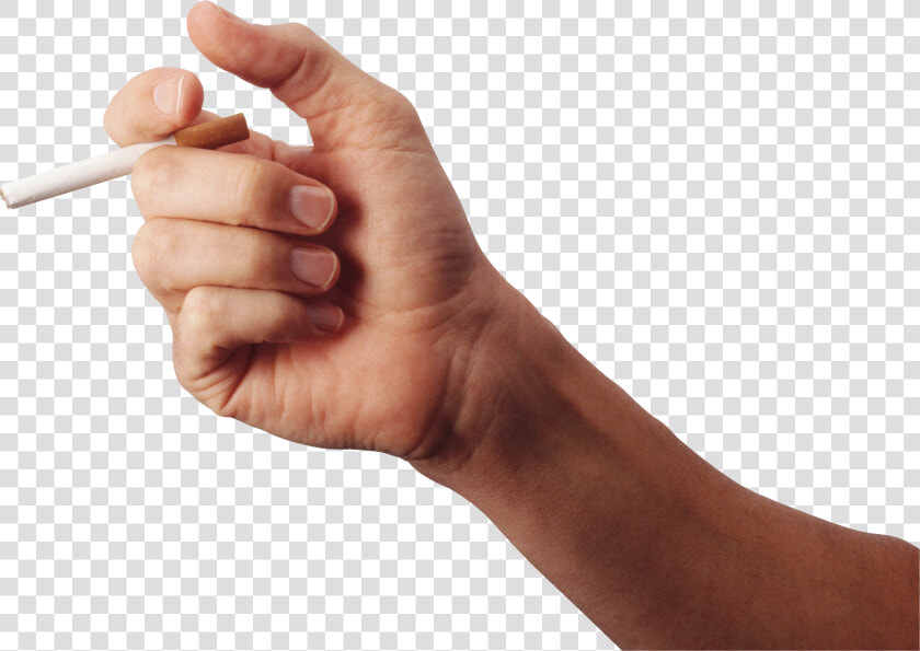 Cigarette Png Image   Hand Holding Cigarette Png  Transparent PngTransparent PNG