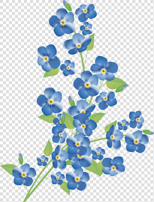 Scorpion Grasses Stock Photography Royalty free Clip   Png Forget Me Not  Transparent PngTransparent PNG