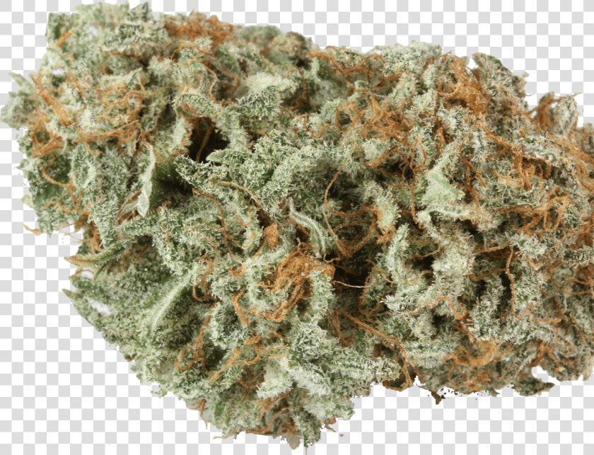 Master Kush Strain   Png Download   Master Kush Nirvana Outdoors  Transparent PngTransparent PNG