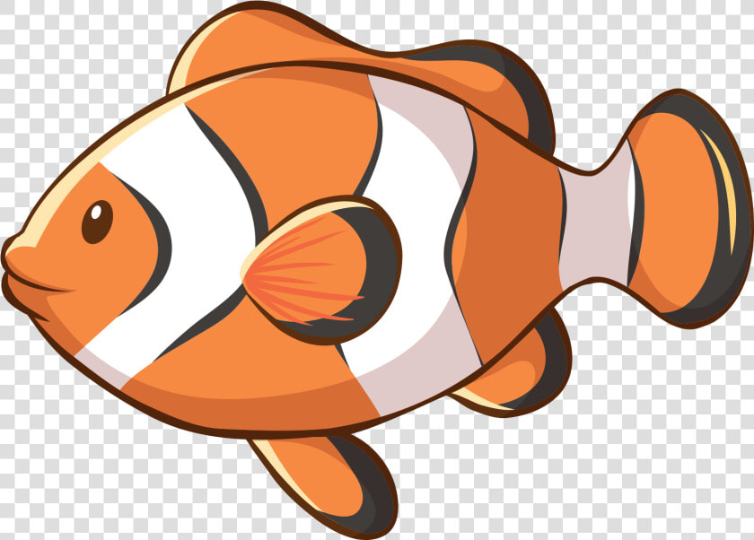 Wild Nemo Fish   Imagenes De Animales Marinos  HD Png DownloadTransparent PNG