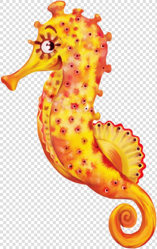 Seahorse Clipart Seaside Picture Transparent Png   Clip Art  Png DownloadTransparent PNG