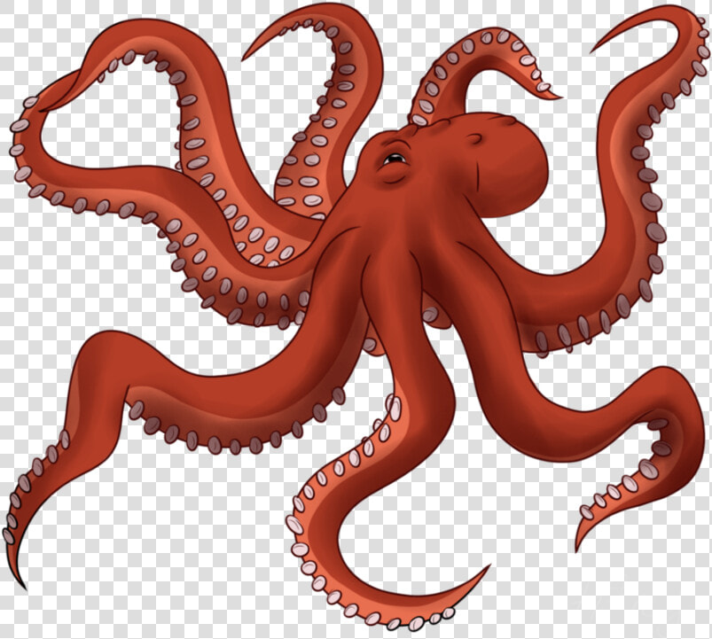 Transparent Octopus Clipart   Octopus Png  Png DownloadTransparent PNG