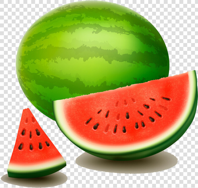 Citrullus Lanatus Drawing Photography Watermelon Illustrator   Drawing Watermelon Png Hd  Transparent PngTransparent PNG