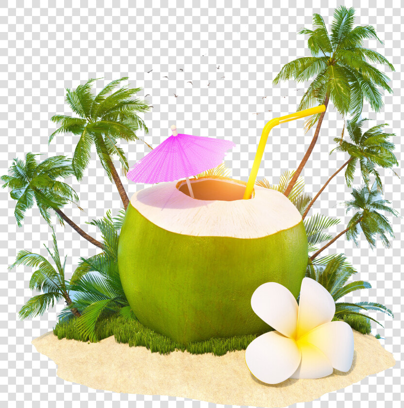 Transparent Coconut Png   World Coconut Day 2019  Png DownloadTransparent PNG