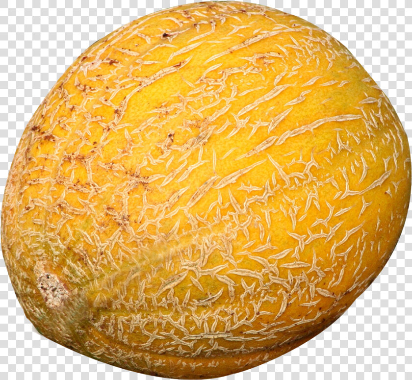 Cantaloupe Melon Png Image   Cantaloupe  Transparent PngTransparent PNG