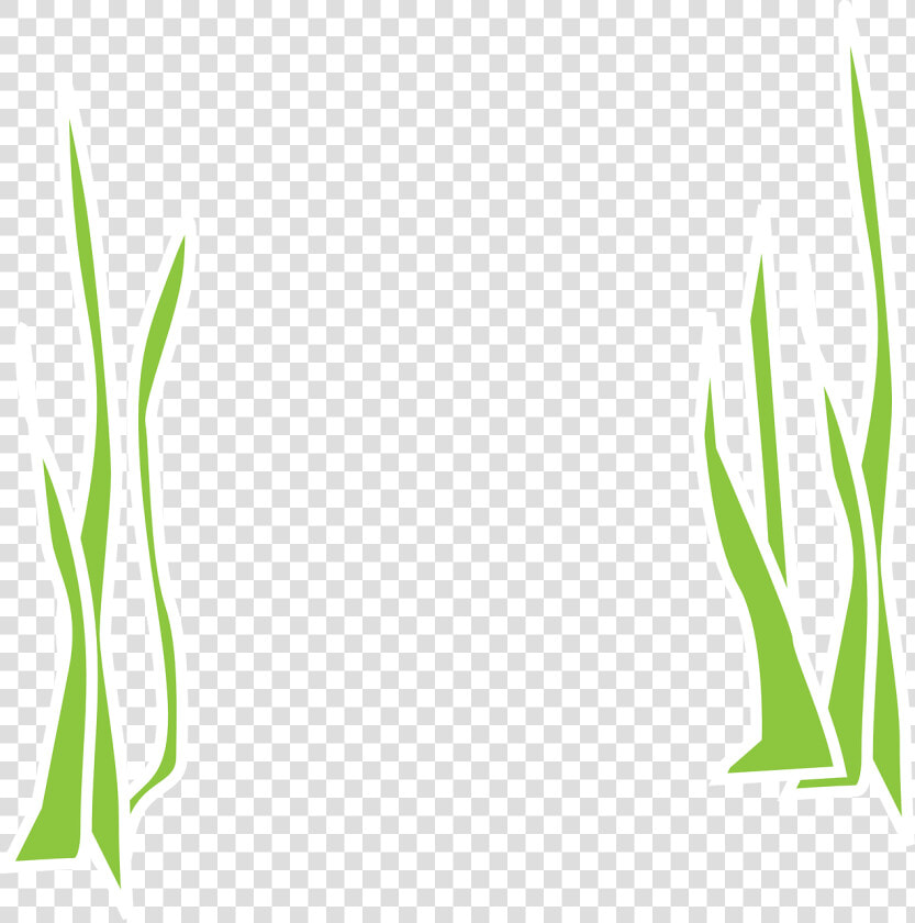 Seaweed  Aqua  Flora  Marine  Reeds  Grass  Underwater   Gambar Ilustrasi Rumput Laut  HD Png DownloadTransparent PNG