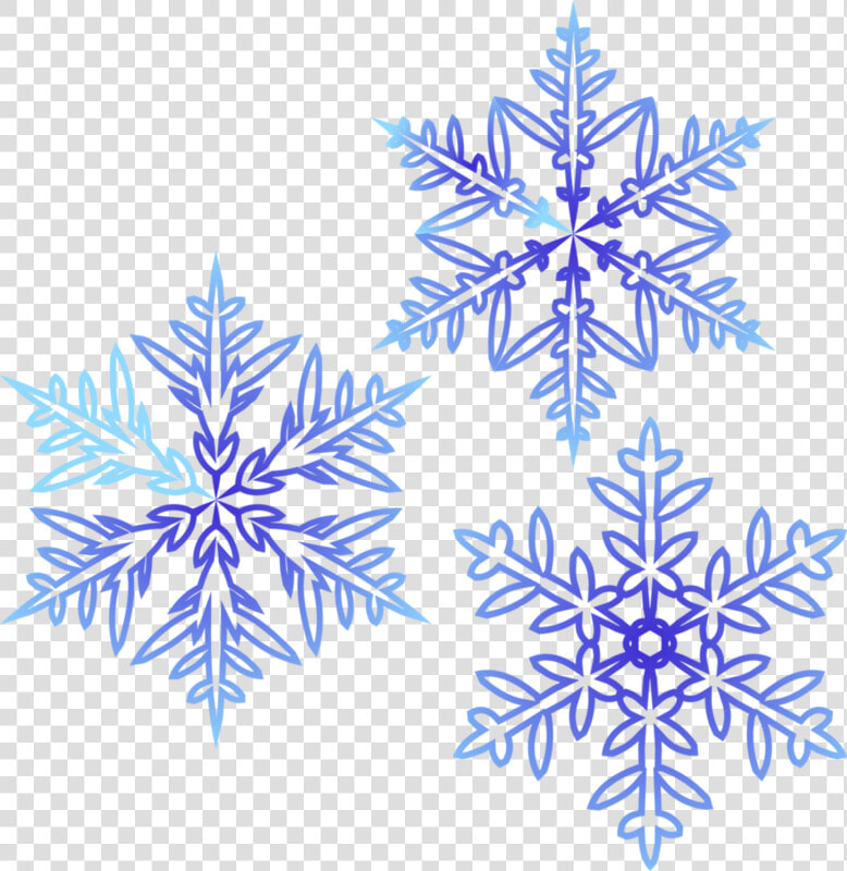 Motif  HD Png DownloadTransparent PNG