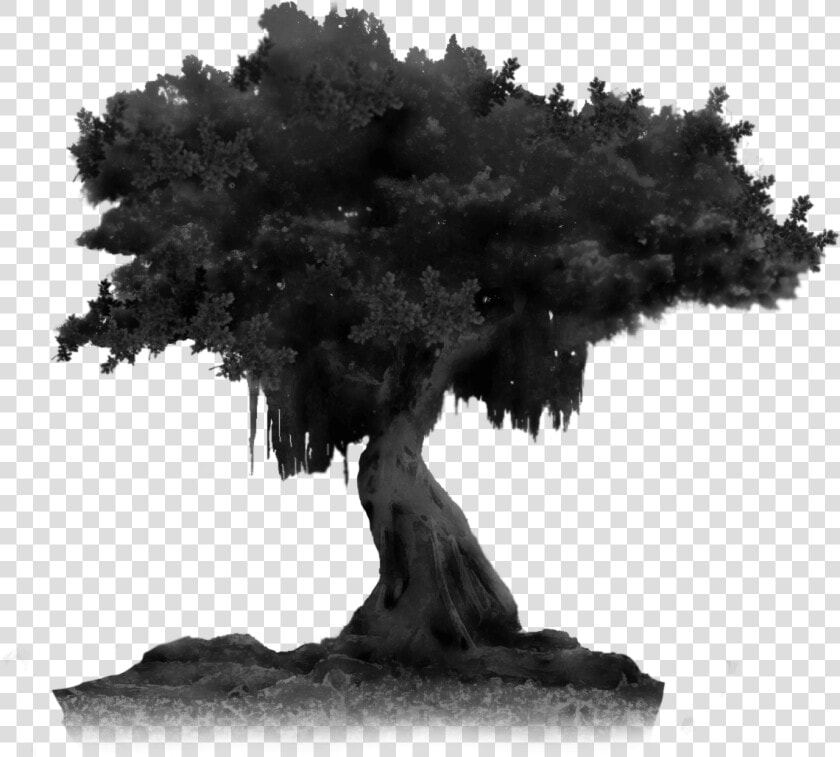 Night Tree Png Hd   Png Download   Night Tree Transparent  Png DownloadTransparent PNG