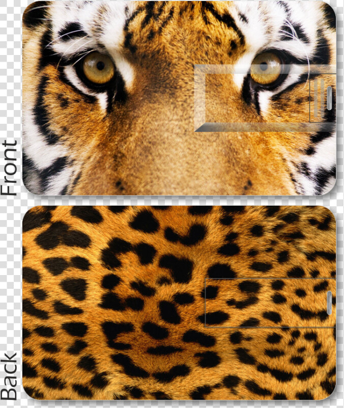 Tiger Print Card Pen Drive   Cheetah Fur  HD Png DownloadTransparent PNG