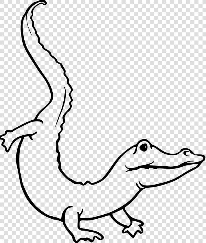 Drawing At Getdrawings Com   Alligator Outline  HD Png DownloadTransparent PNG