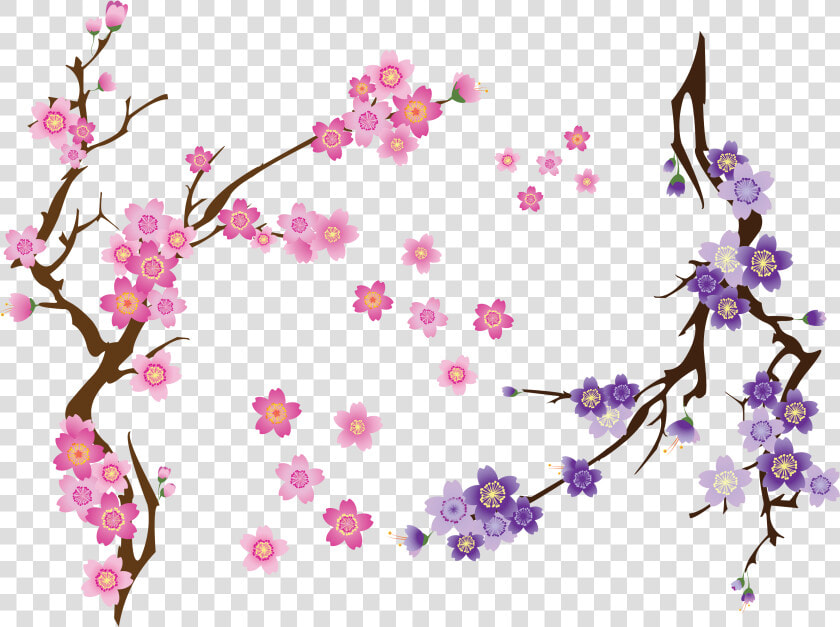 Transparent Cherry Blossom Clip Art   Cherry Blossom Flower Vector Free  HD Png DownloadTransparent PNG