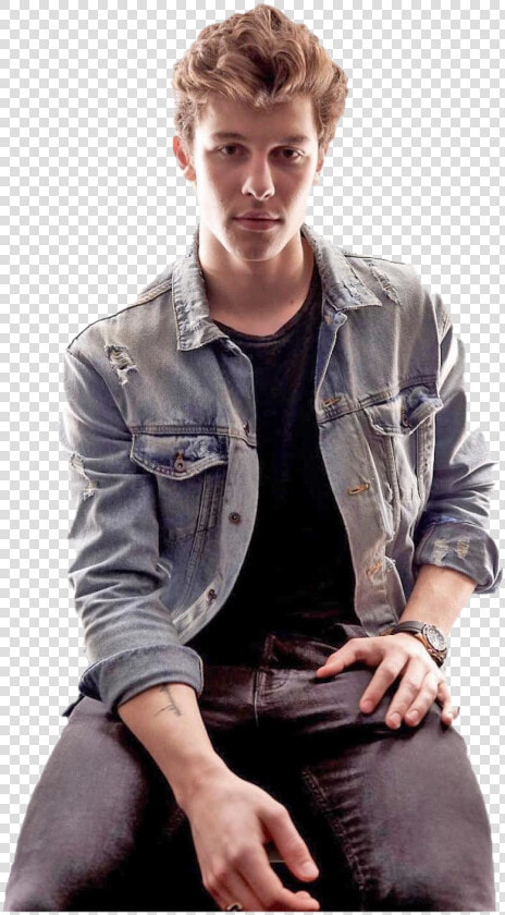 Shawn Mendes Transparent Image   Cute Pictures Shawn Mendes  HD Png DownloadTransparent PNG