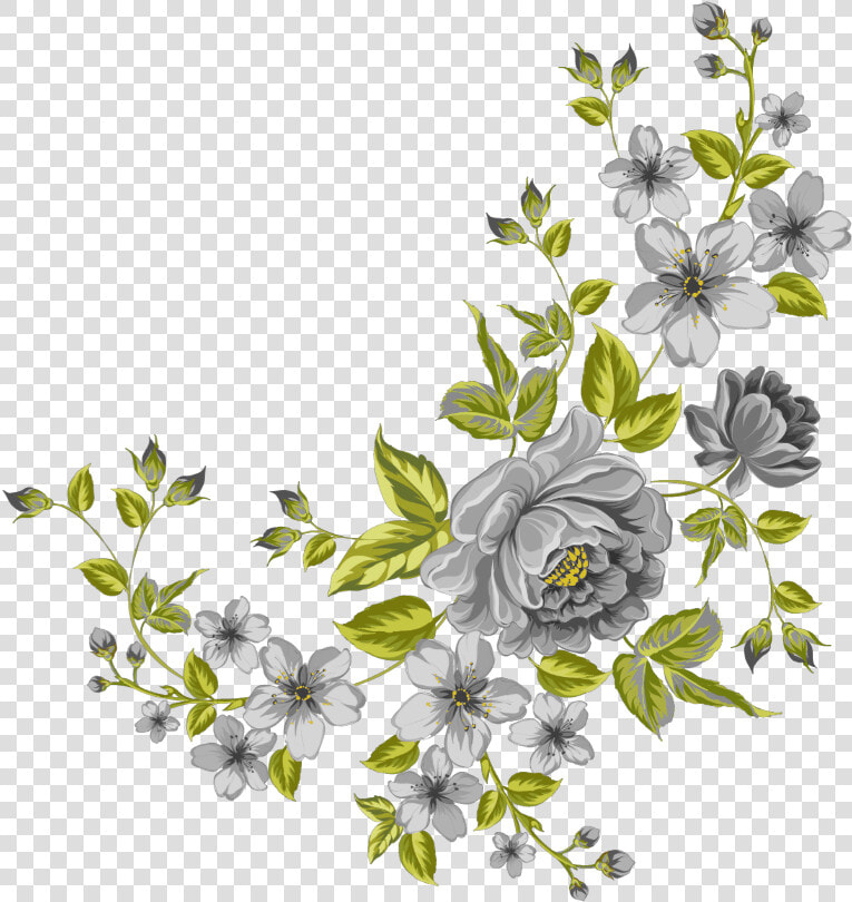  mq  grey  green  flowers  garden  nature   Transparent Background Flower Clipart  HD Png DownloadTransparent PNG