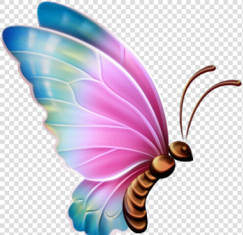 Real Butterfly Cliparts   Transparent Background Butterflies Clipart  HD Png DownloadTransparent PNG