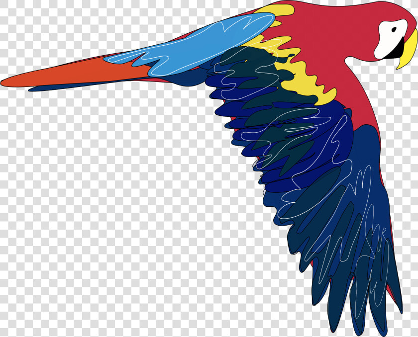 Guacamaya Clip Arts   Parrot Clip Art  HD Png DownloadTransparent PNG