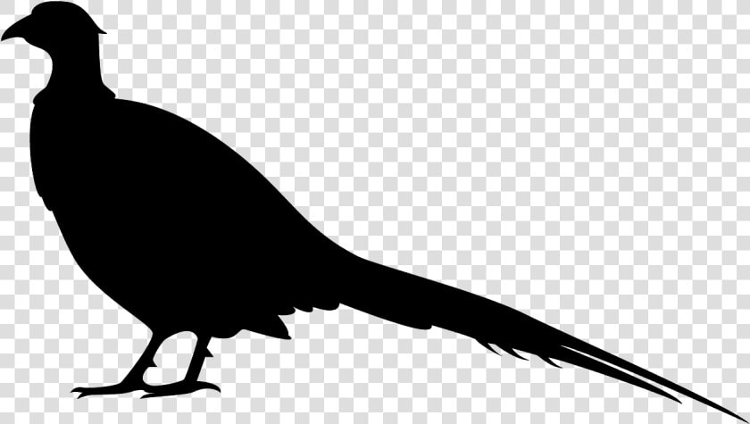 Silhouette Of A Pheasant  HD Png DownloadTransparent PNG