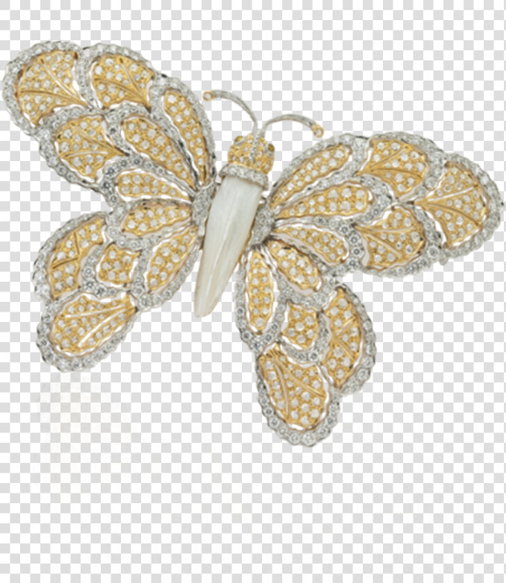 View Spilla Farfalla G6475  HD Png DownloadTransparent PNG