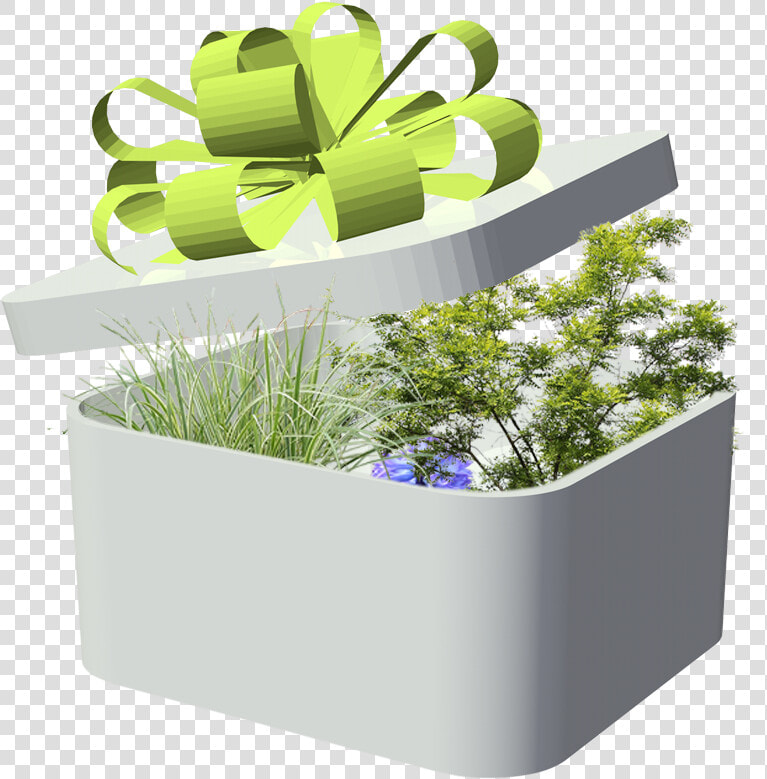 Flowerpot  HD Png DownloadTransparent PNG