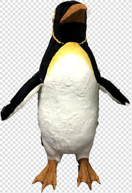 Animated Music Male Penguin W fins Moving  HD Png DownloadTransparent PNG