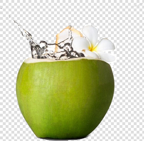 Coconut Water Png Hd Quality   Green Coconut Transparent Background  Png DownloadTransparent PNG