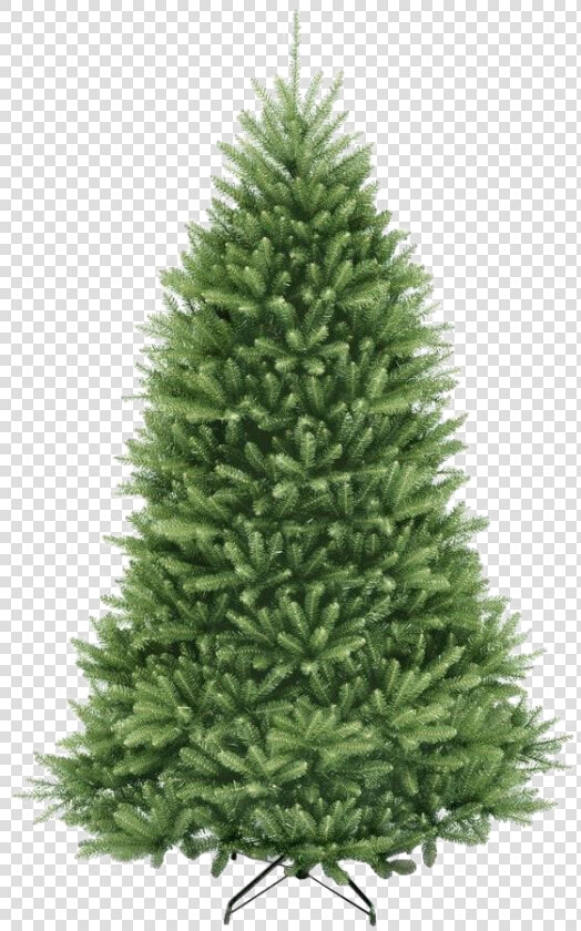 Fir Tree Png Pic   Christmas Tree  Transparent PngTransparent PNG