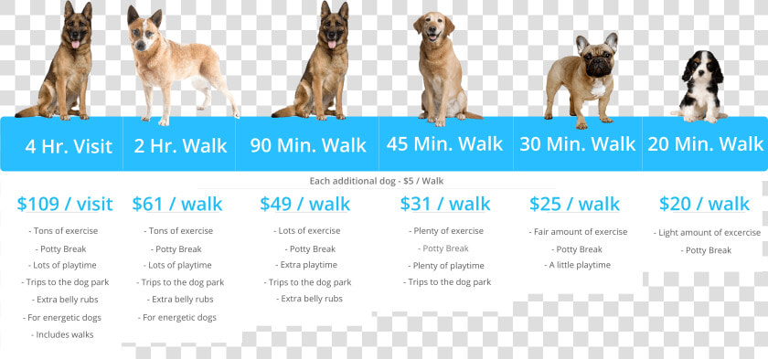 Barkbud Pricing Table   Guard Dog  HD Png DownloadTransparent PNG