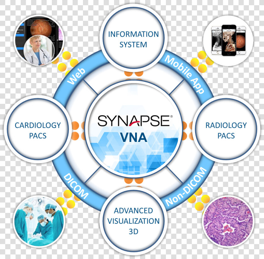 Synapse Vna  HD Png DownloadTransparent PNG