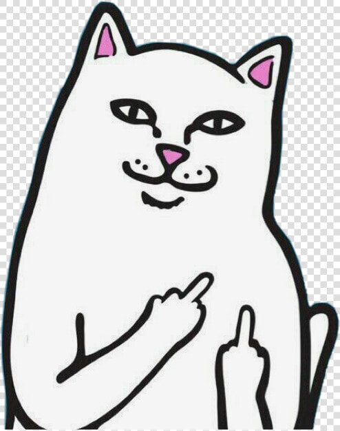  adesive  cat  fuckyou  lol  🖕🏼  freetoedit   Rip N Dip Logo  HD Png DownloadTransparent PNG