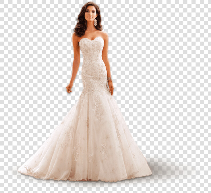 Bride   Wedding Dress White Background  HD Png DownloadTransparent PNG