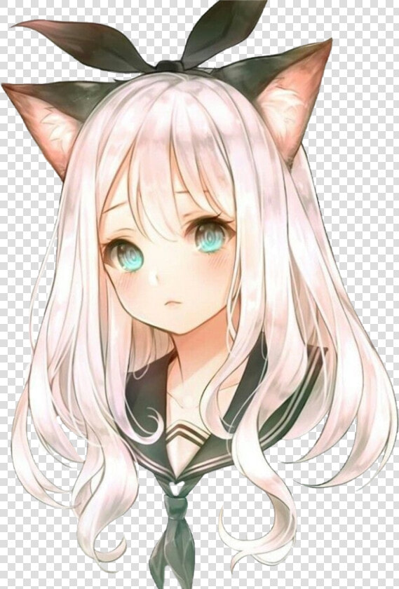  anime  girl  cat  animecat  girlcute  animegirl  animecat   Kawaii Anime Girls White Hair Ár  HD Png DownloadTransparent PNG