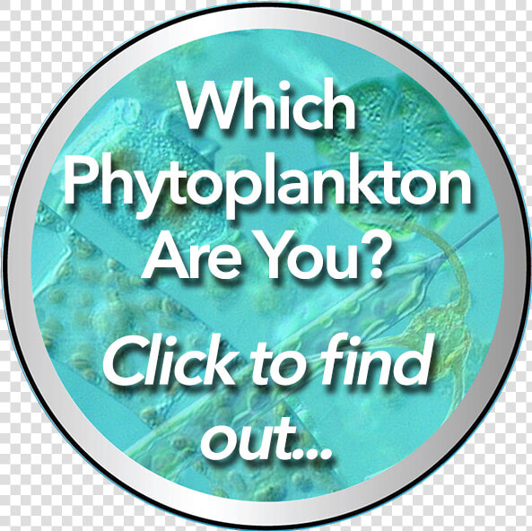 Phytoplankton Quiz Emblem   Circle  HD Png DownloadTransparent PNG