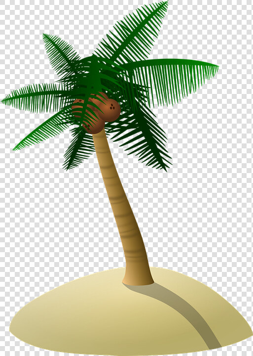 Palm Coconut Tree Icon Symbol   Riddle English  HD Png DownloadTransparent PNG