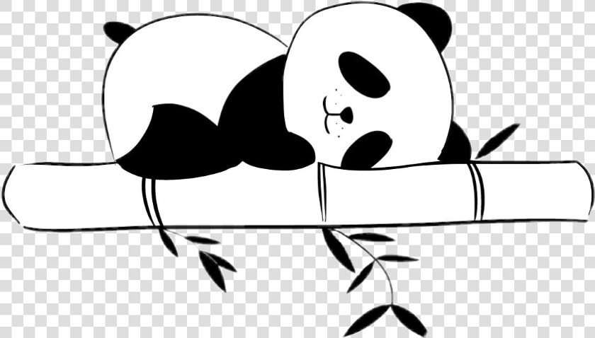 Transparent Bambus Clipart   Panda Clipart Black And White  HD Png DownloadTransparent PNG