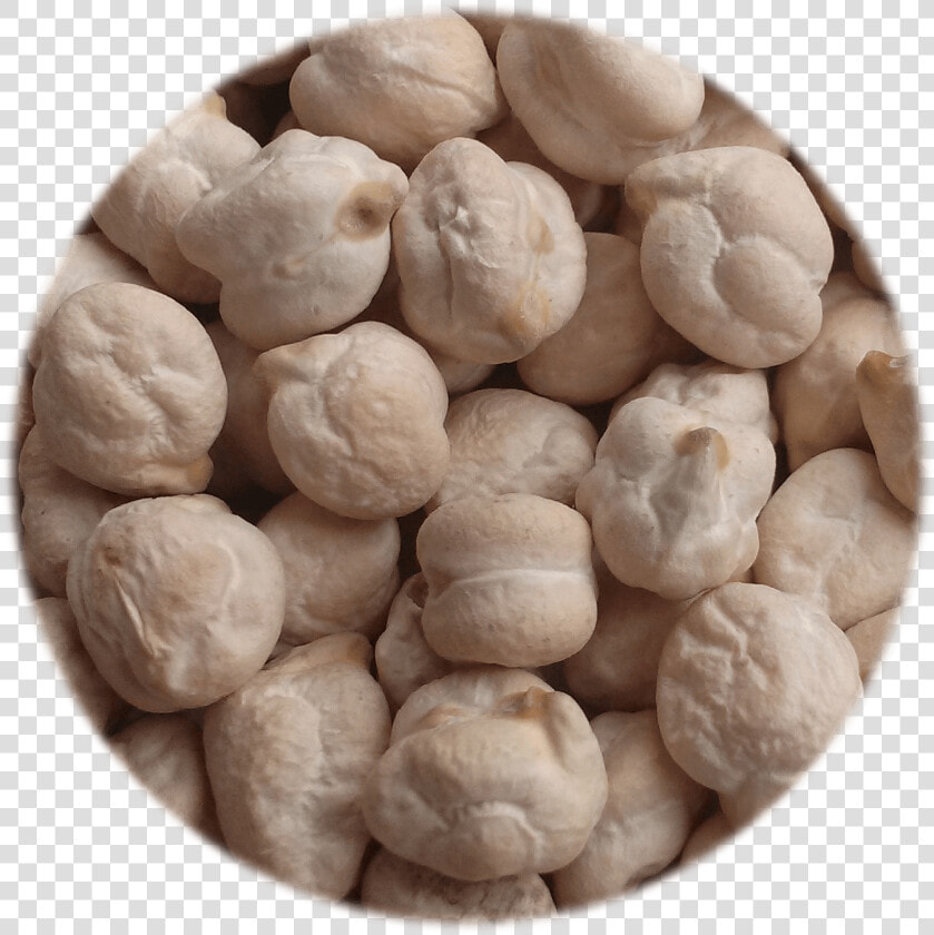 Milky White Chickpea   Dessert  HD Png DownloadTransparent PNG