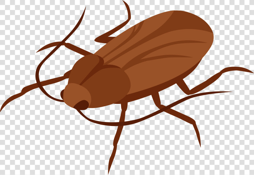 Cockroach Png Clip Art   Cockroach Clipart  Transparent PngTransparent PNG