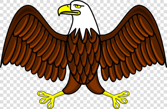 Military Eagle Cliparts   Bald Eagle Clip Art  HD Png DownloadTransparent PNG