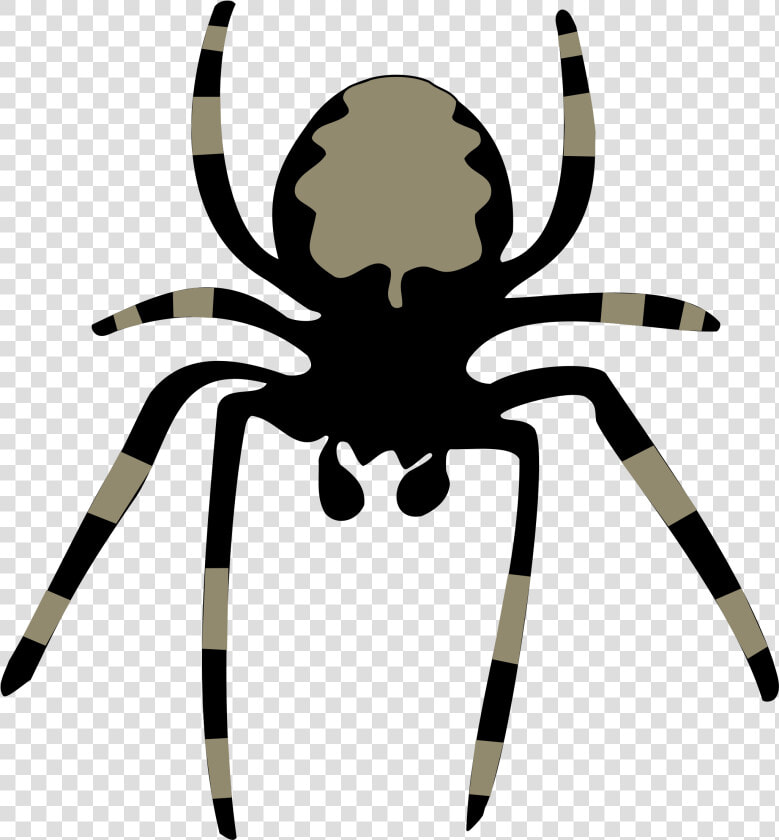 Spider Clip Arts   Clipart Of Spider  HD Png DownloadTransparent PNG