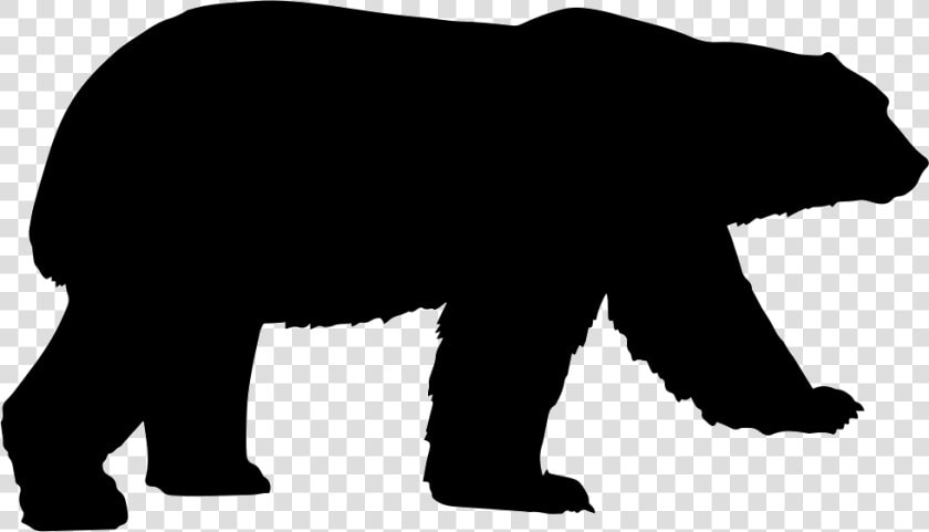 Polar Bear American Black Bear Clip Art Grizzly Bear   Polar Bear Silhouette Vector  HD Png DownloadTransparent PNG