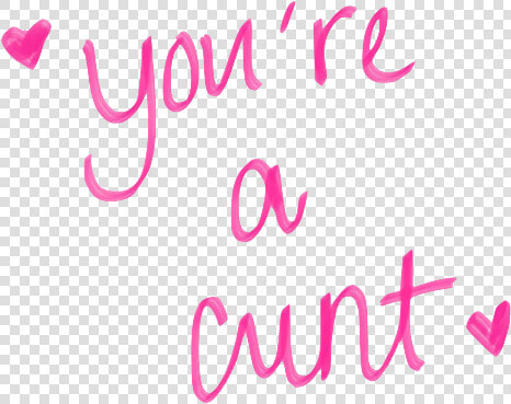 Overlay And Png Image   Youre A Cunt Quote  Transparent PngTransparent PNG