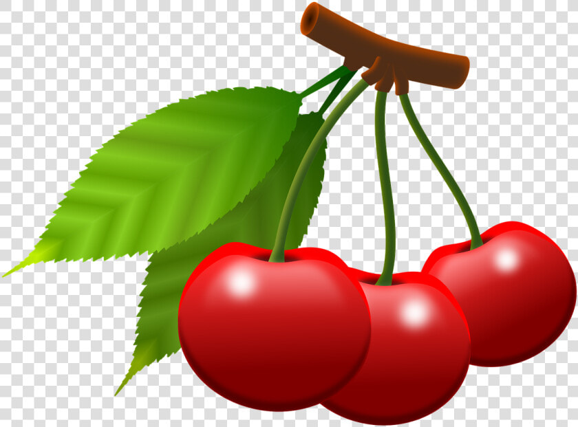 Cherries  Fruits  Berries  Food  Eat  Power Supply    Essen Lustige Bilder Bewegliche Bilder  HD Png DownloadTransparent PNG