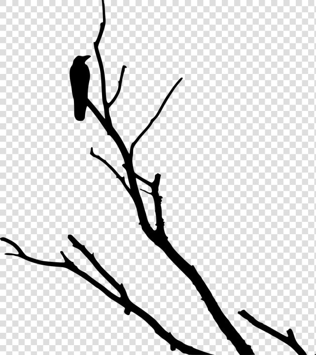 Crow  Raven  Silhouette  Tree   Crow In Tree Silhouette  HD Png DownloadTransparent PNG