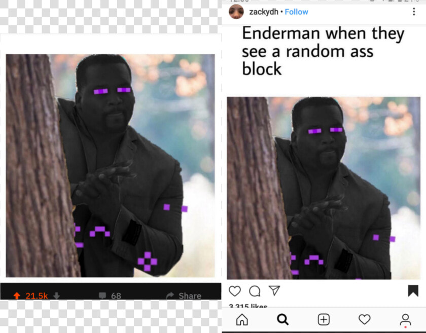 Zackydh Follow Enderman When They See A Random Ass   Enderman Sees A Random Block  HD Png DownloadTransparent PNG