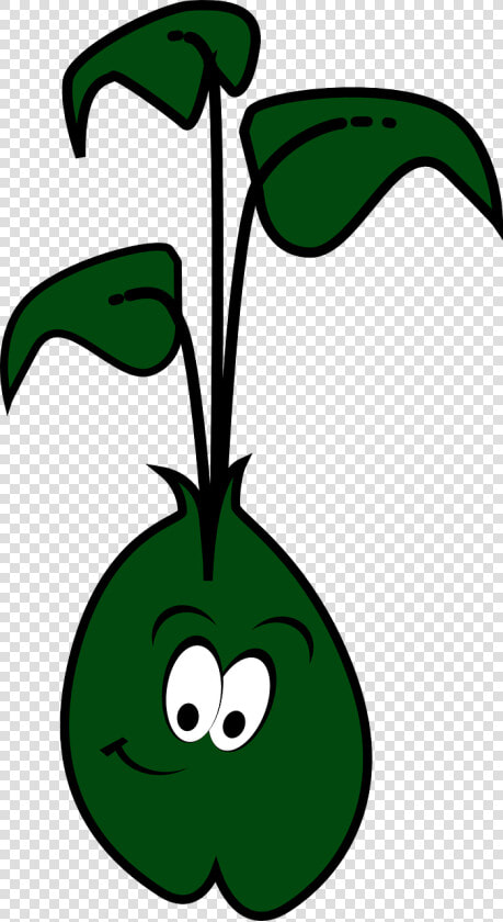 Cartoon Alfalfa Sprouts  HD Png DownloadTransparent PNG