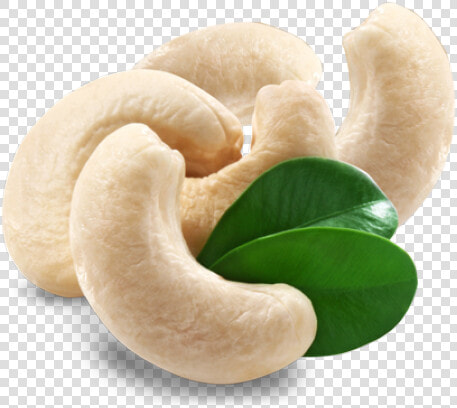 Cashew Png Transparent Images   Kaju 210  Png DownloadTransparent PNG