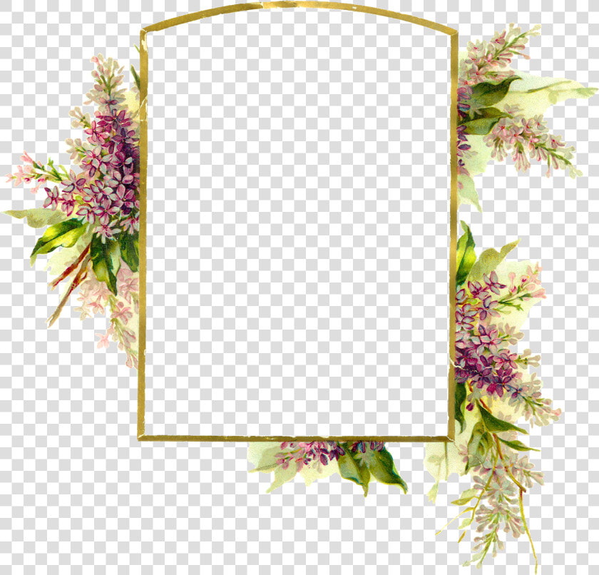 Floral Frame Png   Transparent Background Floral Frame  Png DownloadTransparent PNG