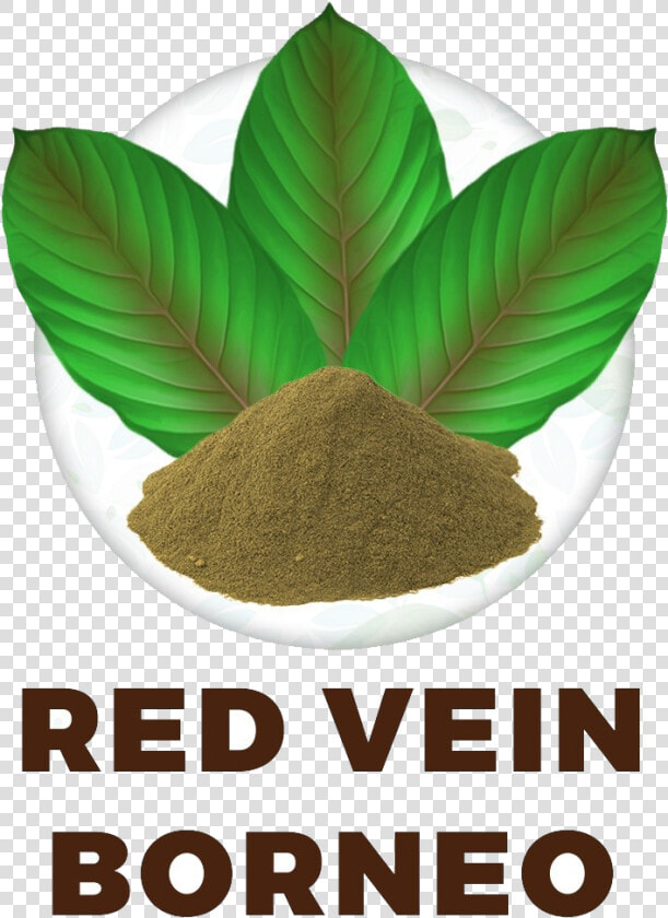 Red Vein Borneo   Saigon Cinnamon  HD Png DownloadTransparent PNG